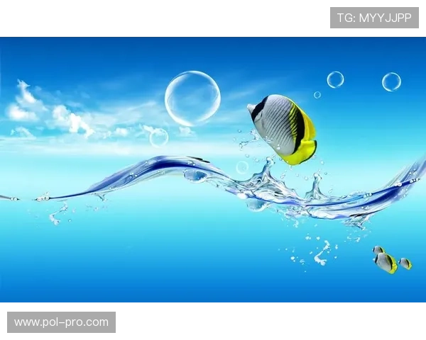 博鱼真人平台会员登录不上原因总结以及避免类似问题的预防措施