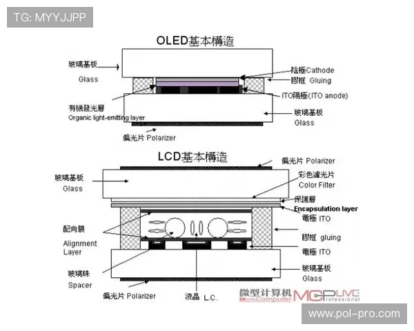 详细解析wpk的网址的结构组成及其背后的技术原理